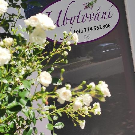 Apartman Cafe U Kordulky Ratiskovice Εξωτερικό φωτογραφία
